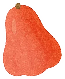 蓮霧